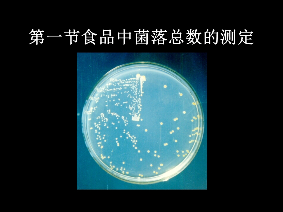 第一部分食品中菌落总数的测定教学课件名师编辑PPT课件.ppt_第2页