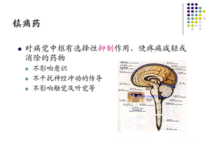 药物化学中枢神经镇痛药文档资料.ppt