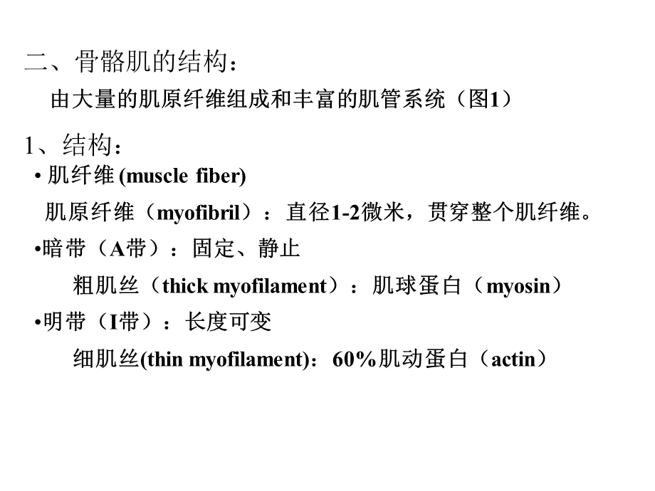 动物生理学第四章肌肉的兴奋与收缩精选文档.ppt_第1页