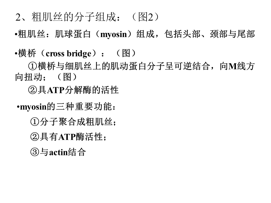 动物生理学第四章肌肉的兴奋与收缩精选文档.ppt_第3页