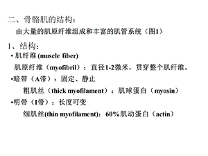 动物生理学第四章肌肉的兴奋与收缩精选文档.ppt