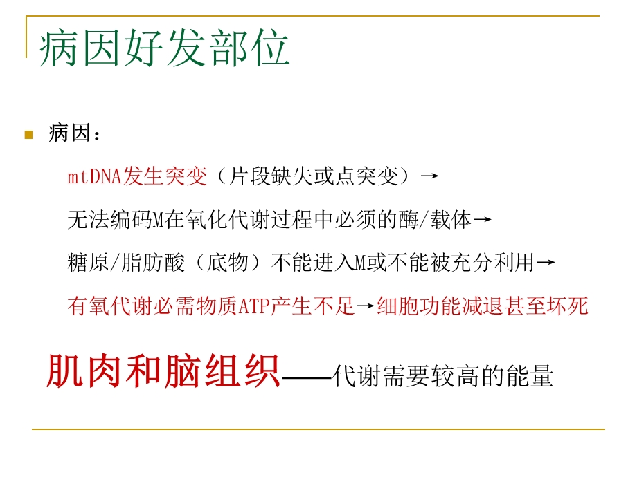 线粒体脑肌病分型及MR表现文档资料.ppt_第2页