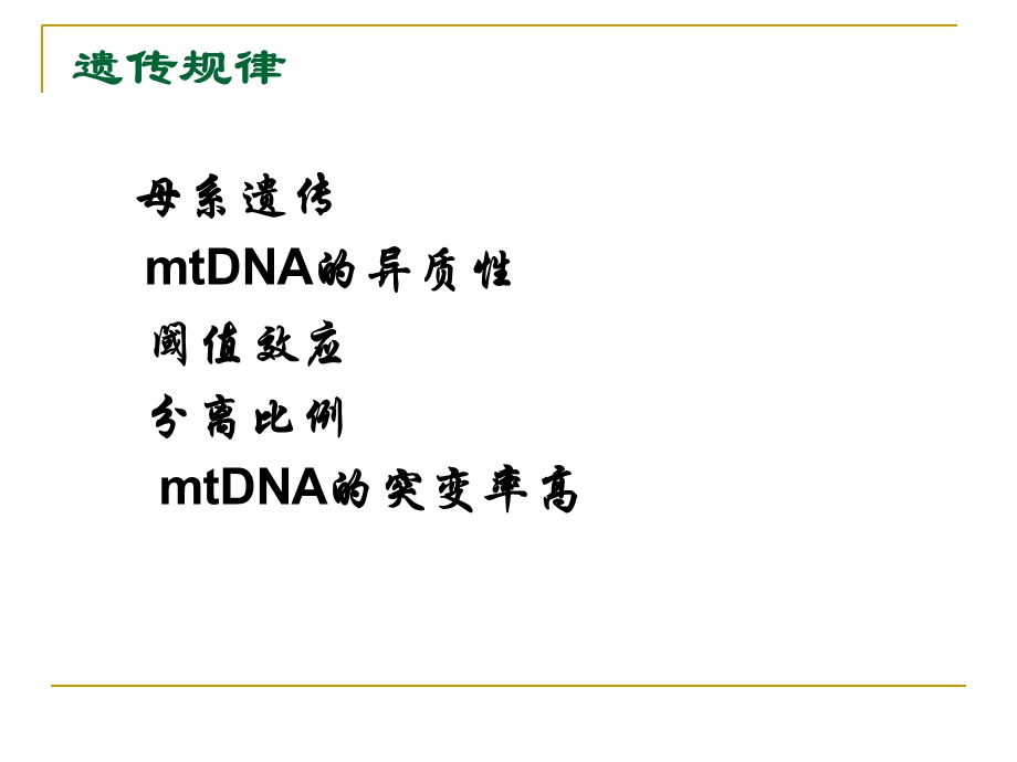 线粒体脑肌病分型及MR表现文档资料.ppt_第3页