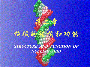 [临床医学]第02章核酸的结构与功能7.ppt