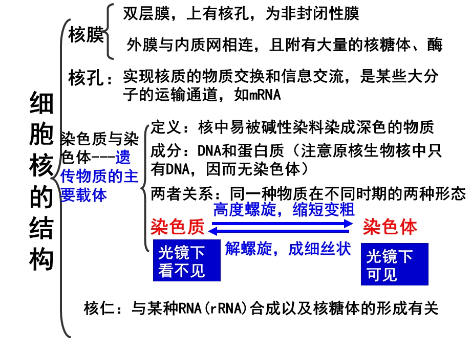 最新：笔记： 第三节细胞核文档资料.ppt_第2页