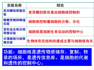 最新：笔记： 第三节细胞核文档资料.ppt