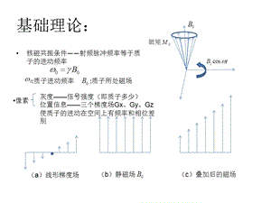 最新：核磁共振成像实验中采样参数对图像形状影响规律文档资料.ppt