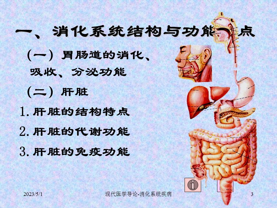 现代医学导论上海交大消化系统疾病的预防文档资料.ppt_第3页