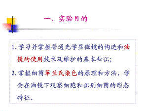 最新：最新2实验二显微镜油镜的使用、细胞形态的观察及革兰氏染色PPT文档文档资料.ppt