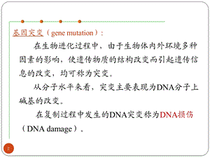 最新：dna损伤修复与抗肿瘤药物研究文档资料.ppt