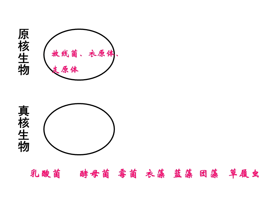 最新：必修一第三章细胞代谢1文档资料.ppt_第1页