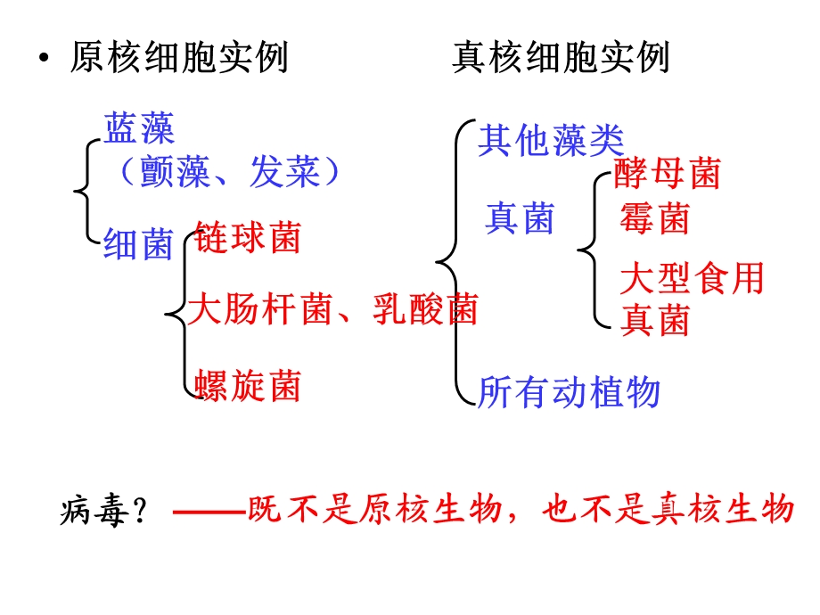 最新：必修一第三章细胞代谢1文档资料.ppt_第2页