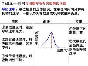 最新：考点三影响细胞呼吸的因素文档资料.ppt