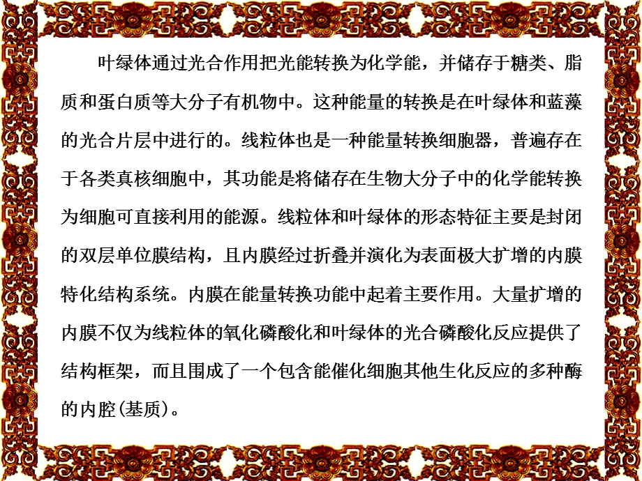 6细胞的能量转换线粒体和叶绿体92精选文档.ppt_第1页