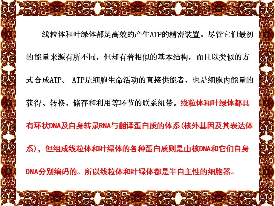 6细胞的能量转换线粒体和叶绿体92精选文档.ppt_第2页