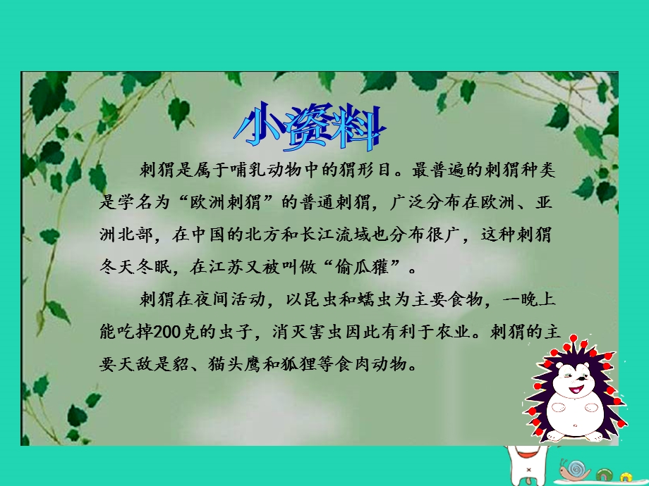 三年级语文第7单元23带刺的朋友课件2新人教版.pptx_第2页