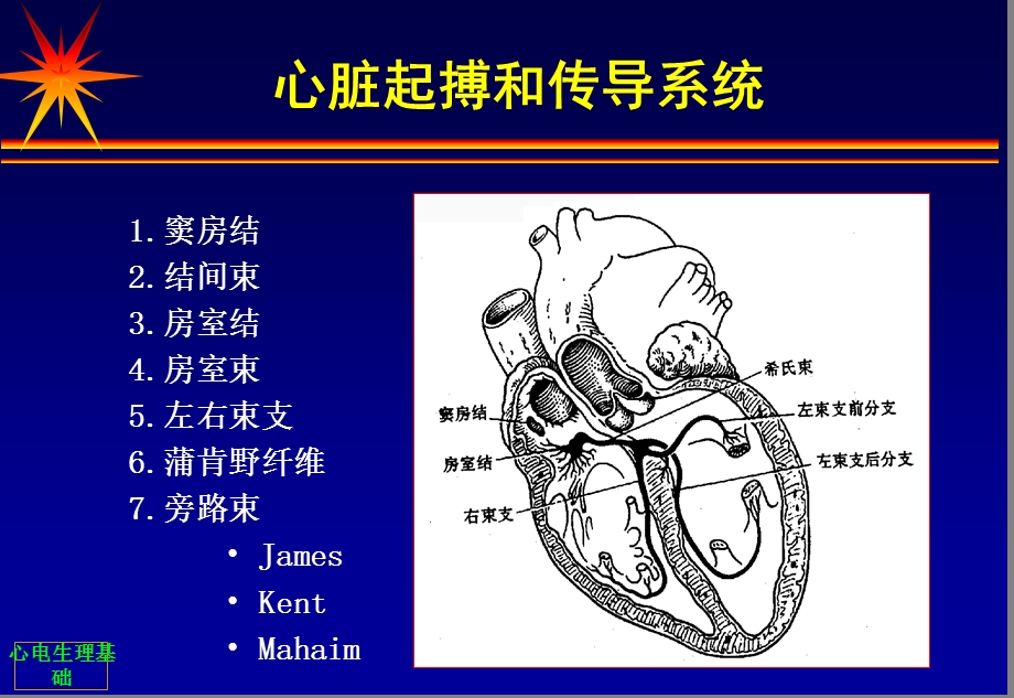 最新：心脏电生理基础文档资料.ppt_第1页