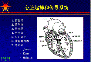 最新：心脏电生理基础文档资料.ppt