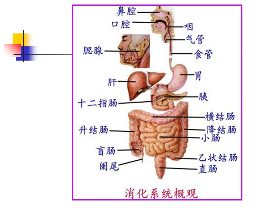 最新：上消化道大出血病人的护理ppt课件文档资料.ppt_第1页