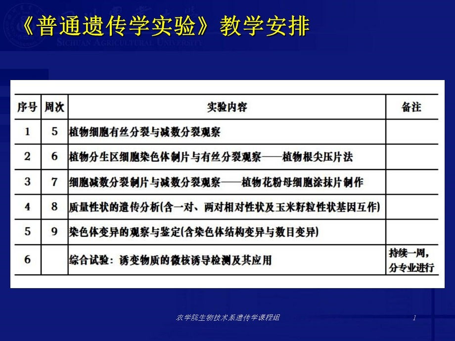 最新E1植物细胞有丝分裂与减数分裂观察PPT文档.ppt_第1页