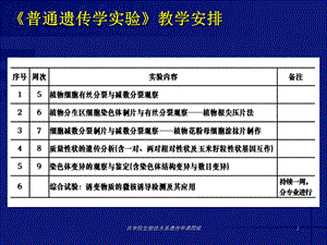 最新E1植物细胞有丝分裂与减数分裂观察PPT文档.ppt