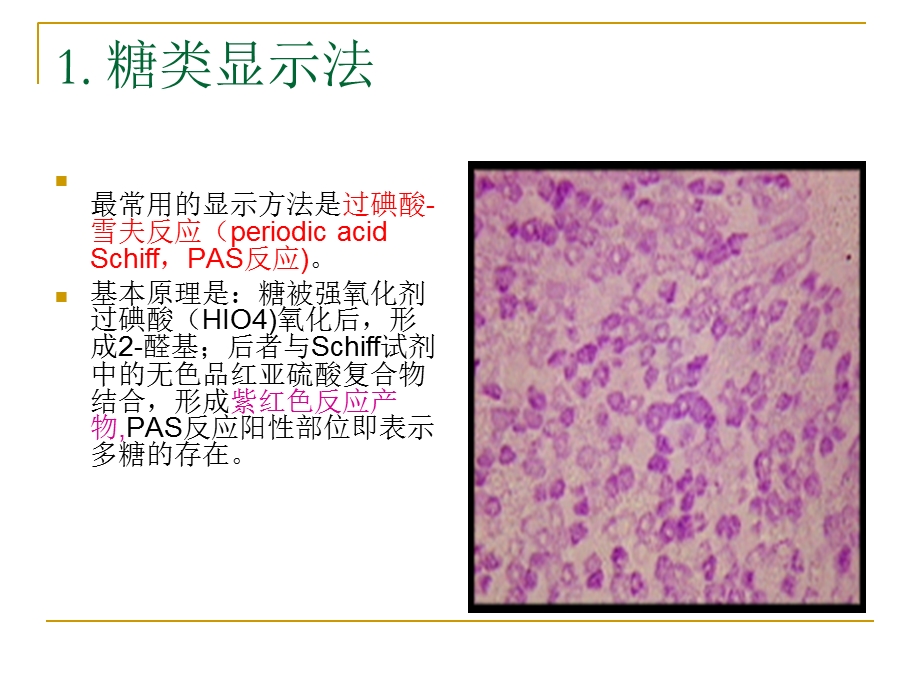 实验巨噬细胞酸性磷酸酶显示PPT文档.ppt_第2页