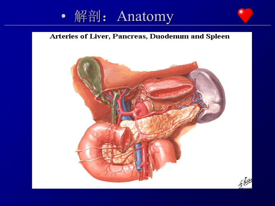 急性胰腺炎(课件)文档资料.ppt_第3页