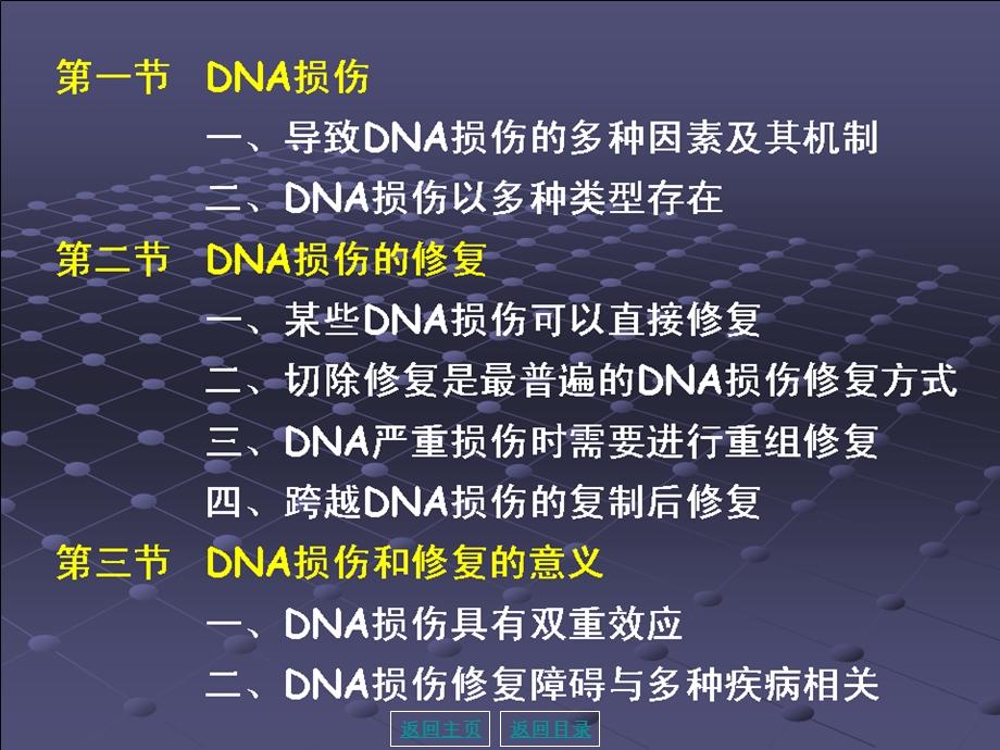 最新第04章DNA损伤课件PPT文档.ppt_第1页