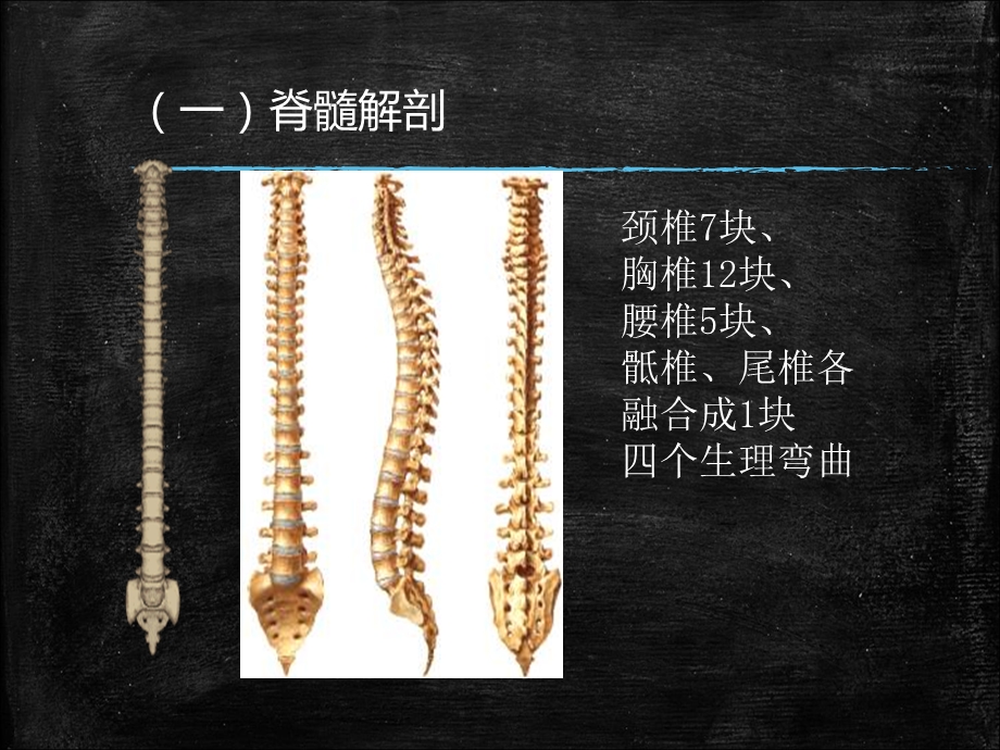 最新：脊髓损伤的康复护理罗宇ppt课件文档资料.ppt_第2页