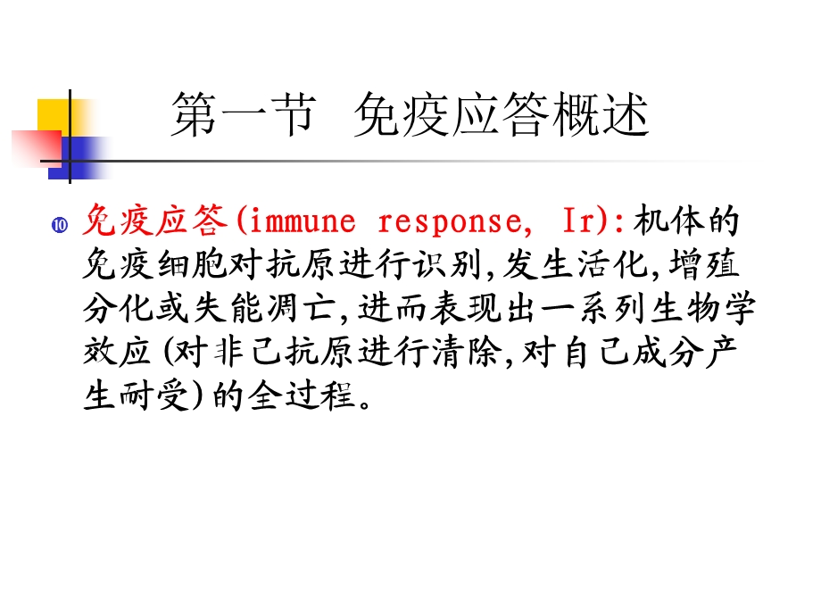 9T细胞免疫应答1PPT文档.ppt_第2页