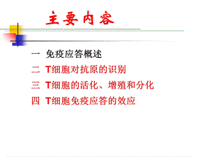 9T细胞免疫应答1PPT文档.ppt