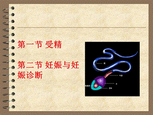 最新兽医产科学之分娩与助产PPT文档.ppt