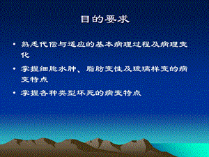 应与损伤ppt课件PPT文档资料.ppt