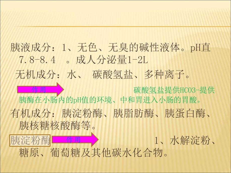 胰腺的组织解剖文档资料.ppt_第2页