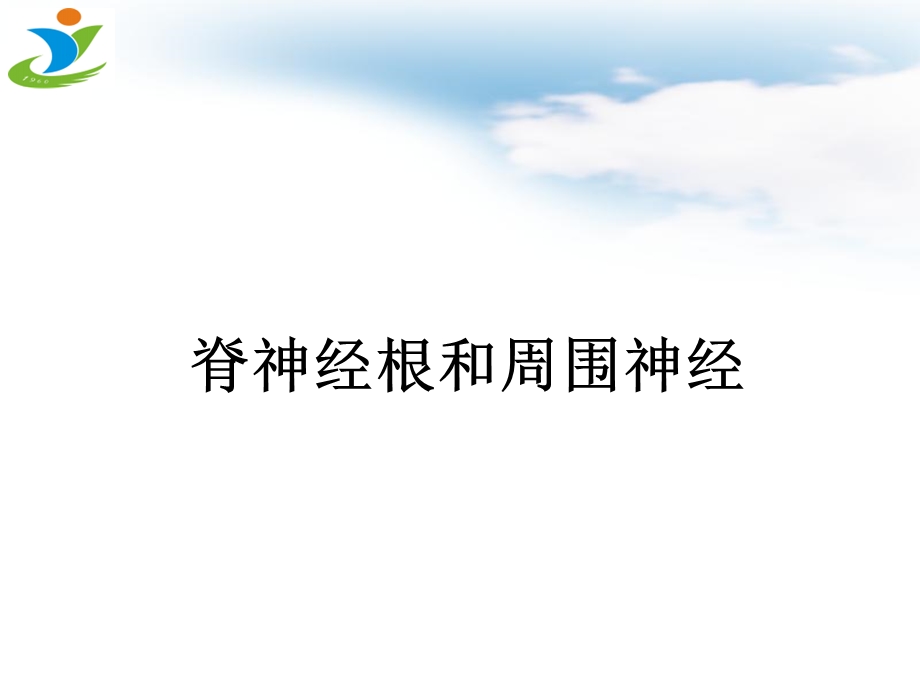 gbs急性感染性多发性神经根炎PPT课件.ppt_第2页