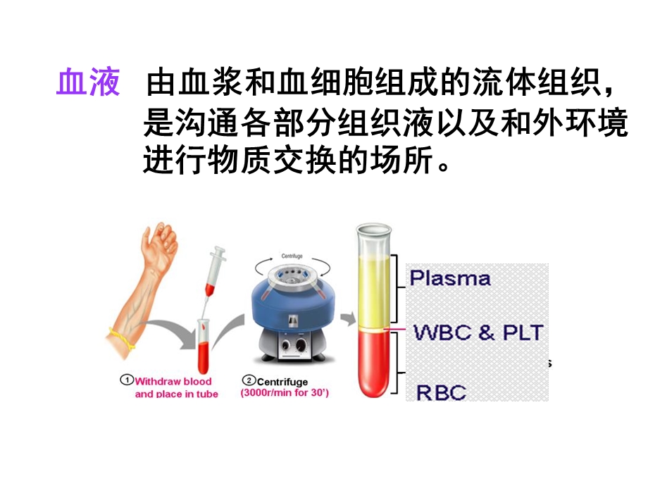 3血液件316PPT文档.ppt_第2页