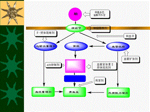 最新：抗高血压药(尤)文档资料.ppt