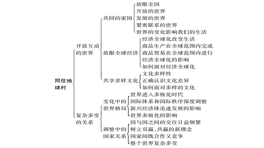 中考宁夏政治复习课件：第4篇 知识梳理 九下 第1单元〓我们共同的世界(共54张PPT).pptx_第3页