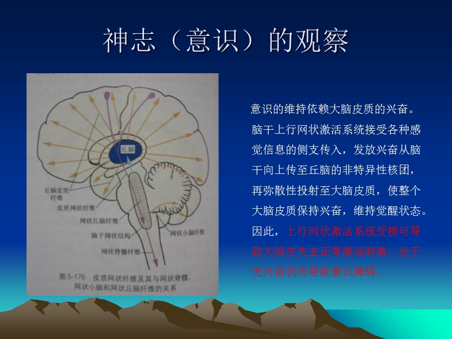 最新神志意识的观察神经外科讲座PPT文档.ppt_第3页