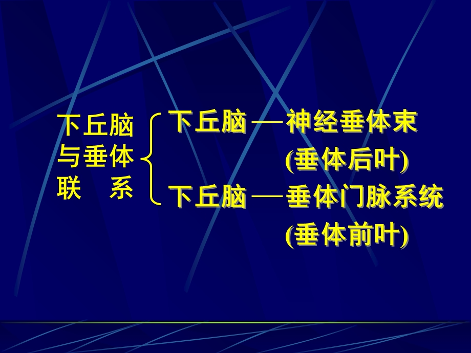 112下丘脑与垂体的内分泌PPT课件.ppt_第1页