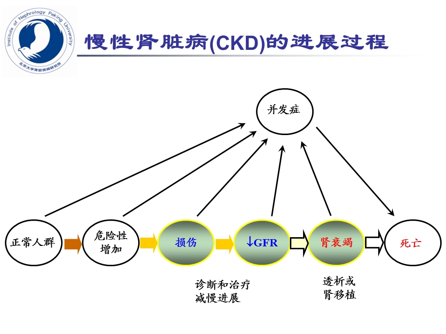 3慢性肾脏病的治疗与监测文档资料.ppt_第1页