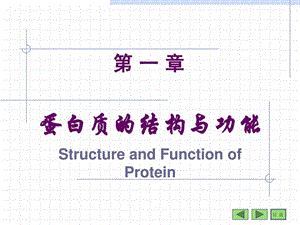 最新大学生物化学蛋白质..ppt