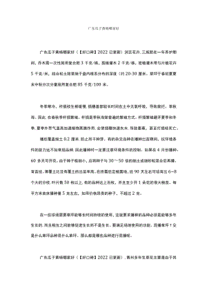 广东瓜子黄杨哪家好.docx