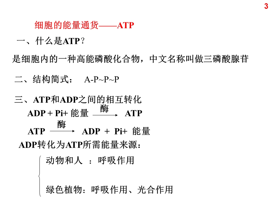 人教版教学课件细胞的能量供应和利用专题PPT文档.ppt_第3页