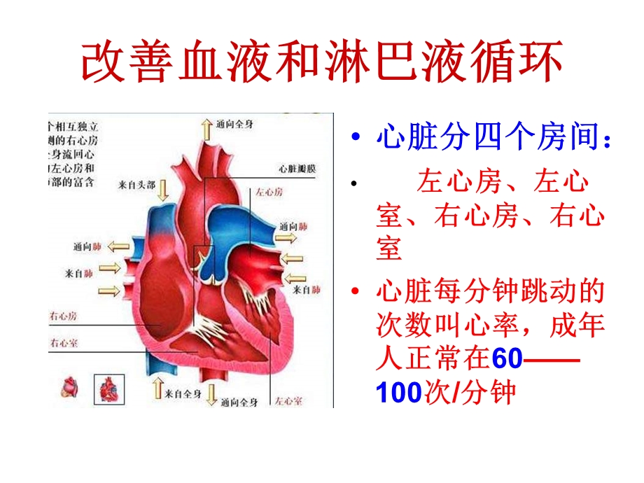 改善血液和淋巴液循环文档资料.ppt_第2页