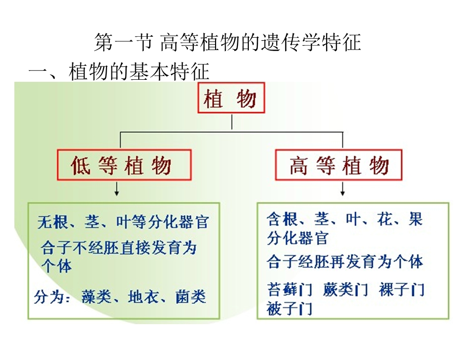 第五章植物基因工程ppt课件名师编辑PPT课件.ppt_第3页