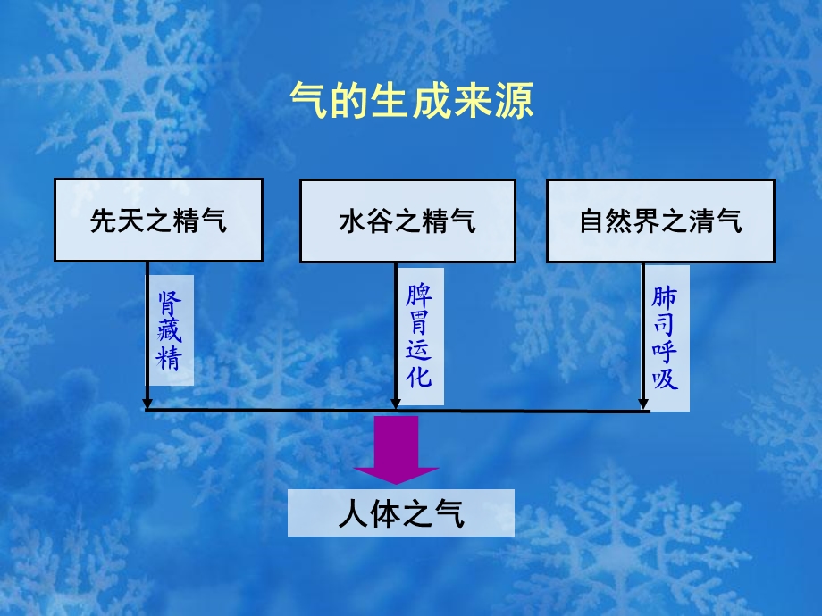 中医学基础5五脏功能的物质基础精选文档.ppt_第3页