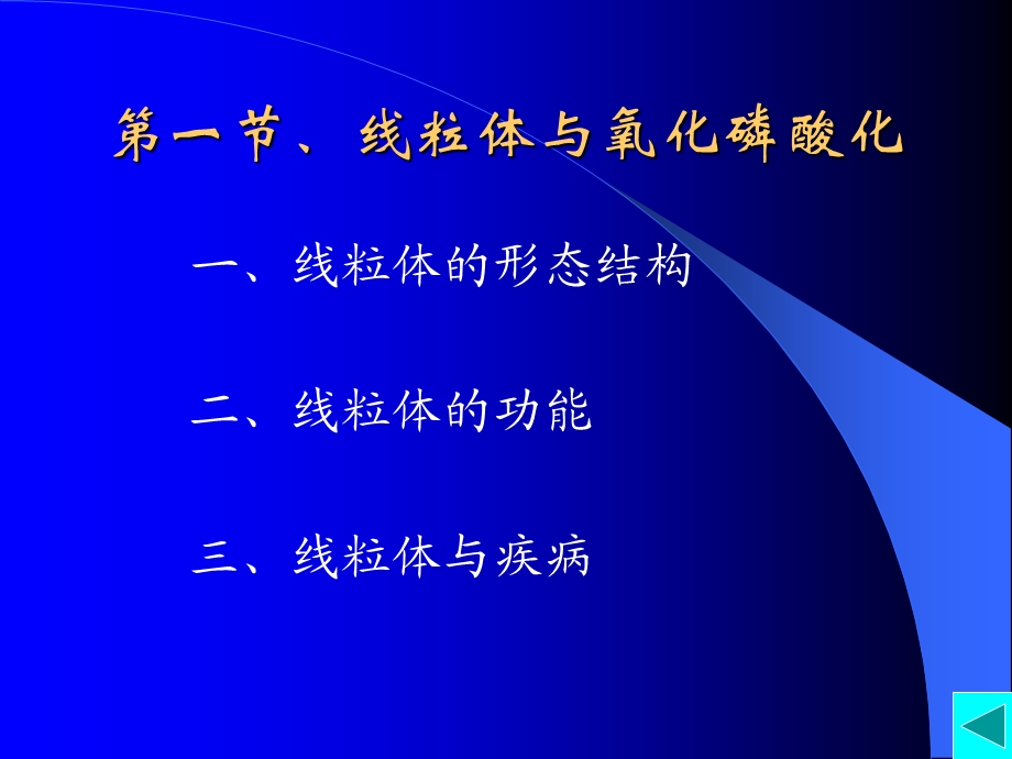 最新：第四细胞的能量转换－线粒体和叶绿体文档资料.ppt_第2页