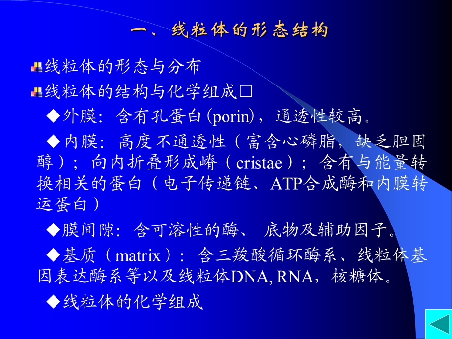 最新：第四细胞的能量转换－线粒体和叶绿体文档资料.ppt_第3页