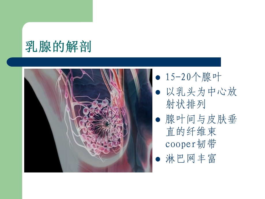 最新乳腺疾病病人的护理PPT文档.ppt_第1页